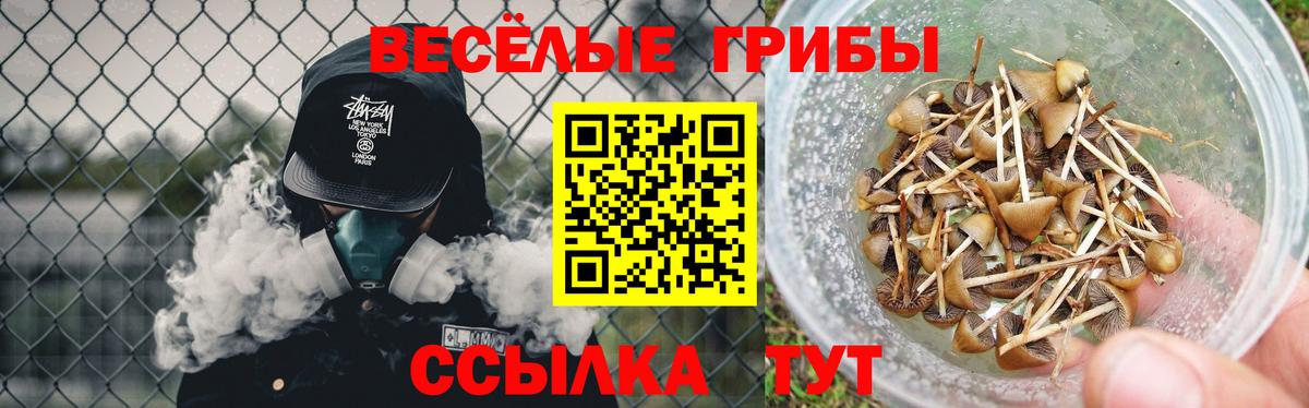 Псилоцибиновые грибы прущие грибы Наро-Фоминск